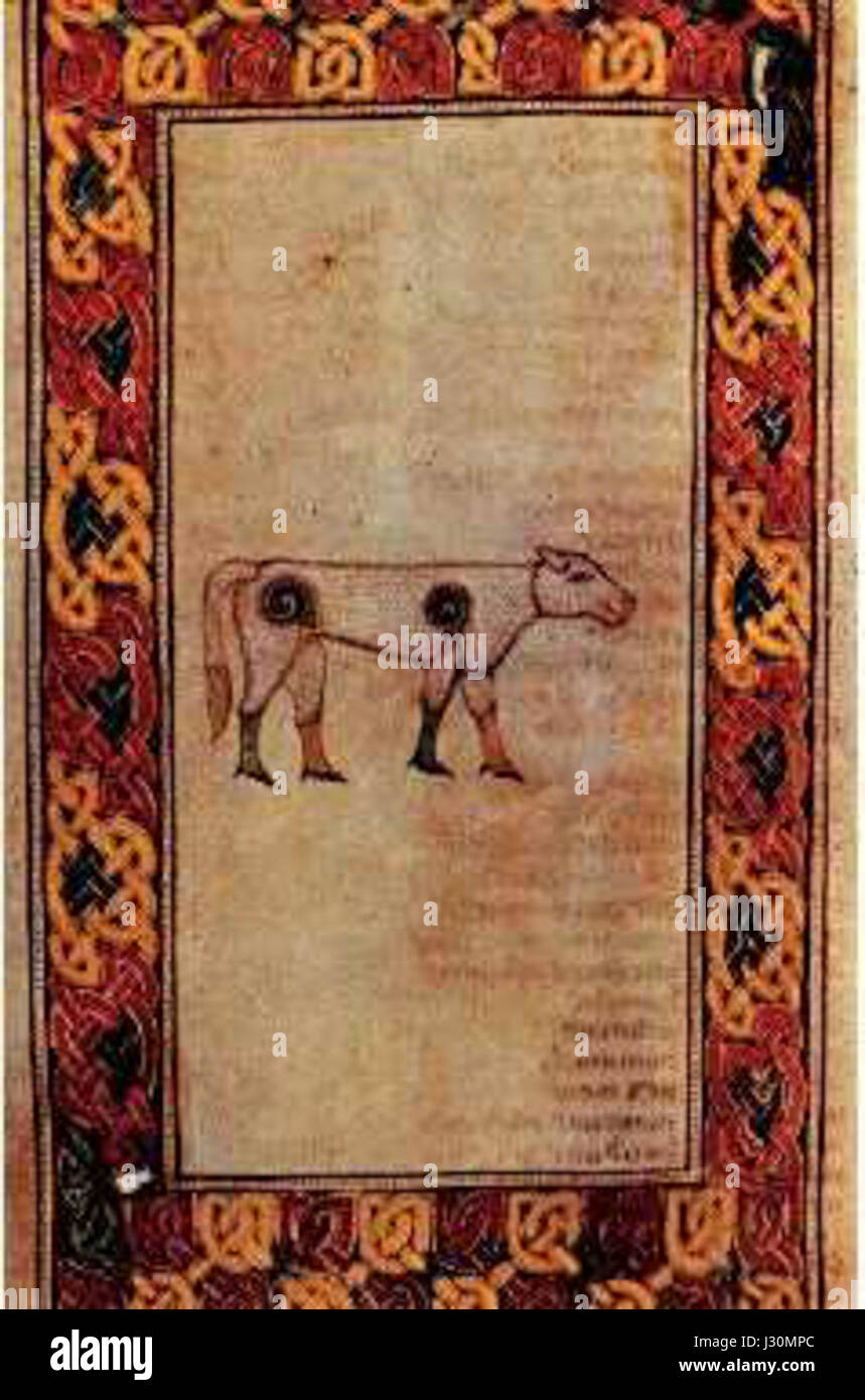 Le Livre du bœuf de Durrow est un manuscrit historique, faisant probablement référence au Livre de Durrow, un important manuscrit enluminé datant du début du moyen-âge et originaire d'Irlande, connu pour son art celtique et sa signification religieuse. Banque D'Images
