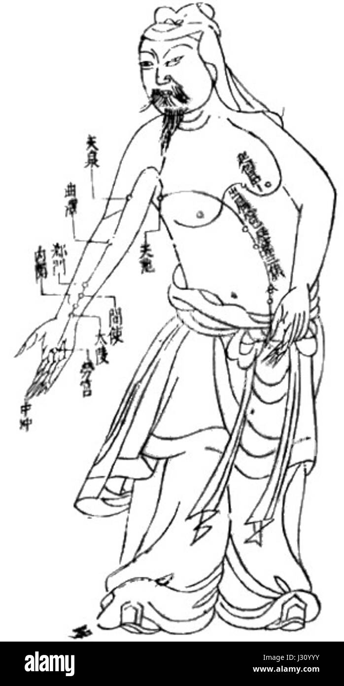Tableau d'Acupuncture 300px Banque D'Images