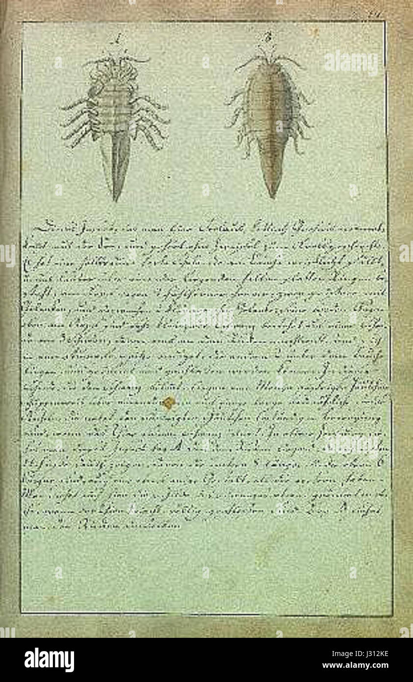Bm03111am fait référence à une heure ou à un événement spécifique lié à des documents historiques ou à des œuvres d'art, nécessitant des éclaircissements supplémentaires. Il peut être associé à une date, un code ou une œuvre, mais sans contexte supplémentaire, il reste ambigu. Banque D'Images