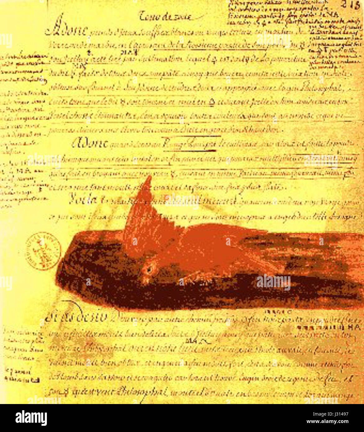 Alchimie de Flamel 9 Banque D'Images