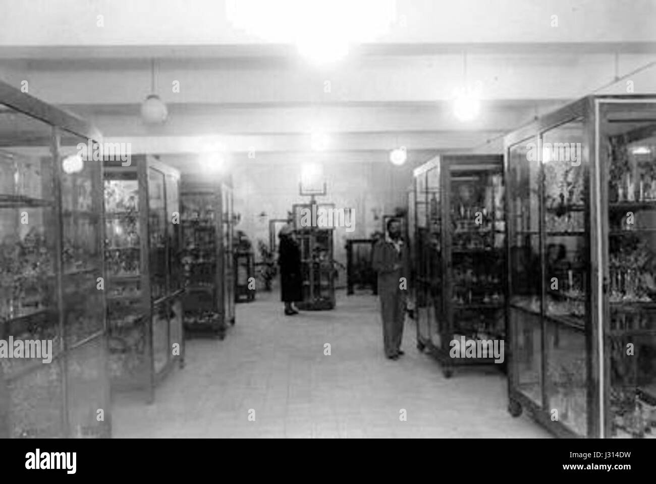 Le Musée botanique de l’Université hébraïque de Jérusalem présente une vaste collection de spécimens de plantes, contribuant à l’étude et à la préservation des espèces végétales et de la biodiversité. Banque D'Images