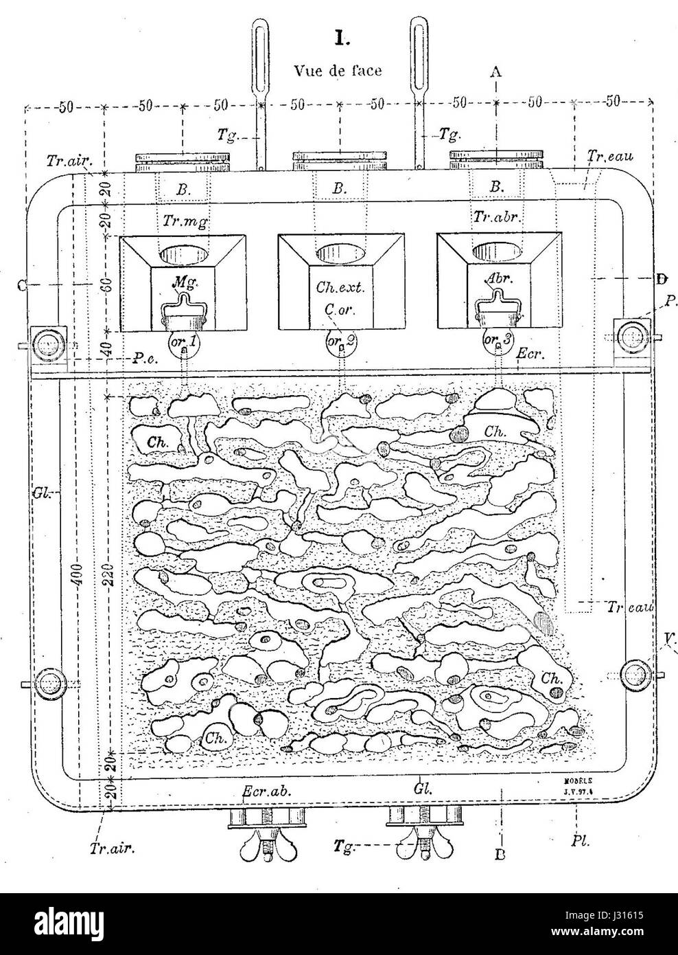 Appareil pour l'observation des fourmis Banque D'Images