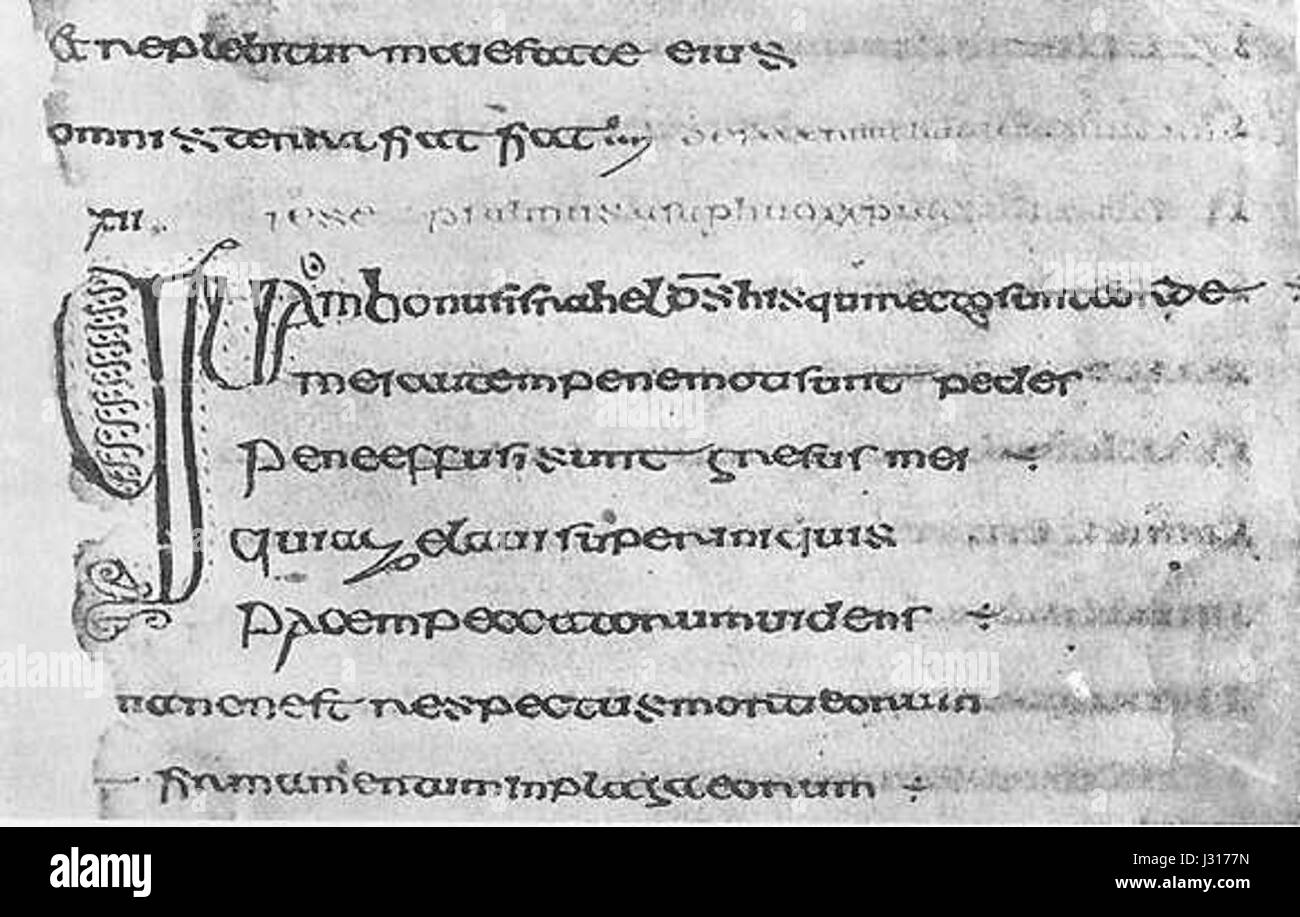 Le Cathach de Changouba est un manuscrit enluminé considéré comme l'un des plus anciens livres irlandais subsistants. Il détient une valeur historique significative pour son art, sa langue et son contexte religieux. Banque D'Images