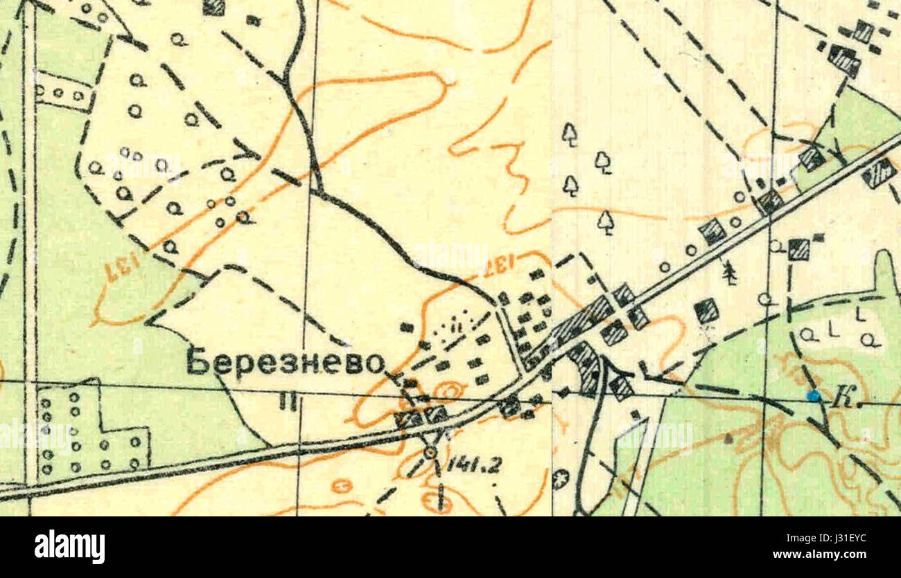 L'image montre Bereznevo en 1931, offrant une vue historique de cet endroit en Russie au début du XXe siècle, mettant en valeur son architecture et son paysage rural. Banque D'Images
