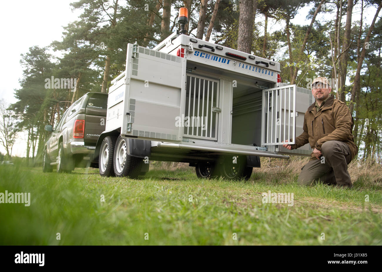 Wolf-carer Helge Stummeyer debout à côté de son chariot de transport pour les animaux blessés dans une forêt près de Vesbeck près de Neustadt am Ruebenberge, Allemagne, 20 avril 2017. Stummeyer gère une grande remorque de transport pour les animaux sauvages, qui a également été acheté pour la sécurité du transport aérien des loups. Banque D'Images