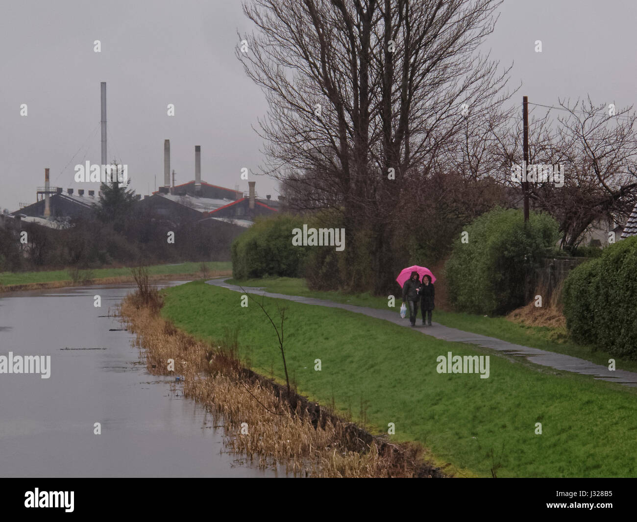 Couple de pluie avec un parapluie rose om le chemin de halage sur le Forth and Clyde Canal Banque D'Images
