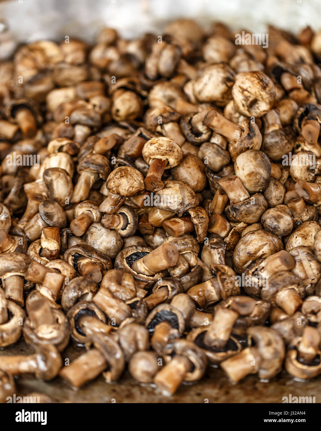 Champignon champignons cuits au wok métalliques de grande taille Banque D'Images