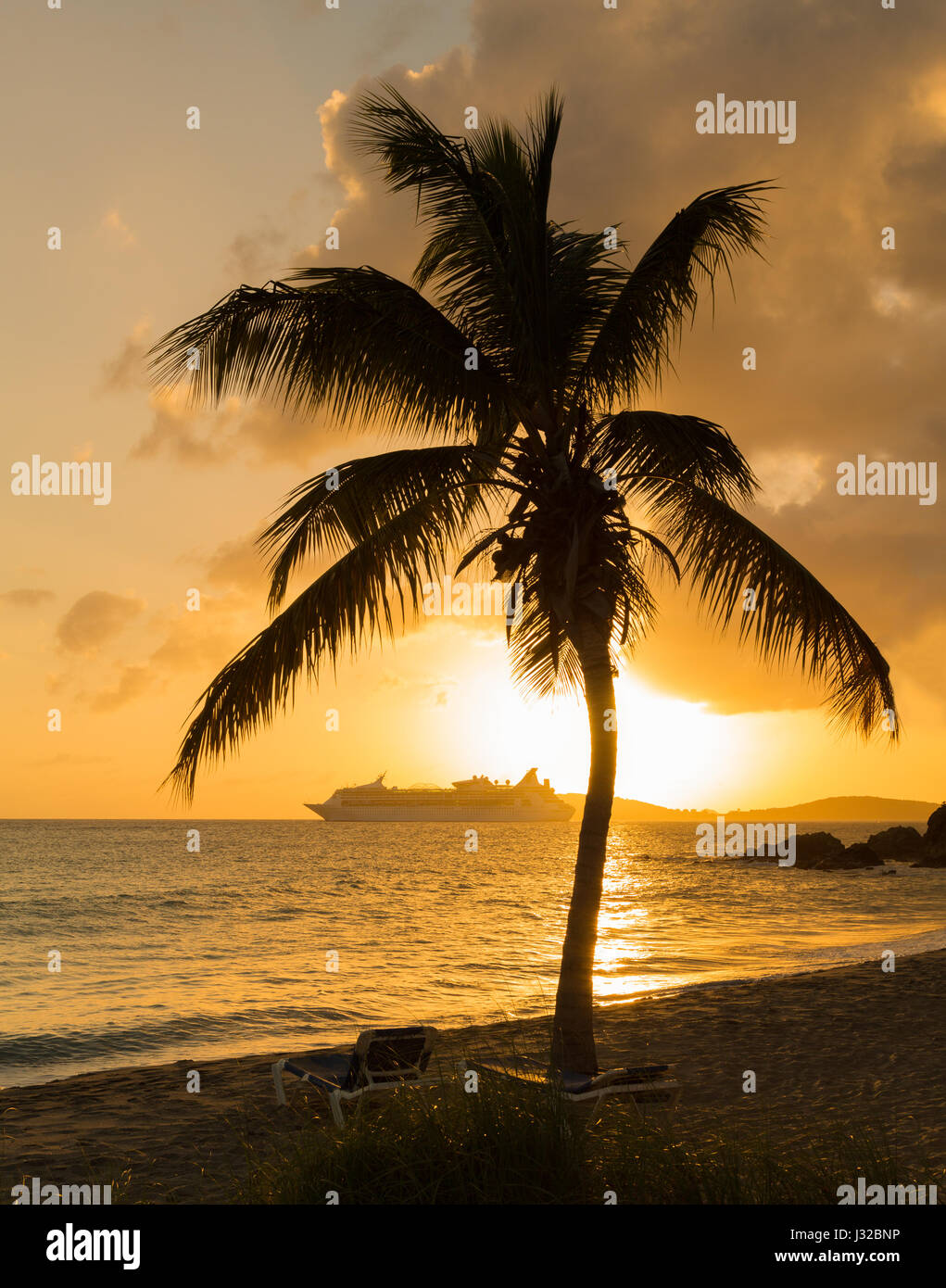 Palmier au coucher du soleil, la baie de Frenchmans, Saint Thomas, US Virgin Islands, Caribbean avec bateau de croisière sur l'horizon Banque D'Images