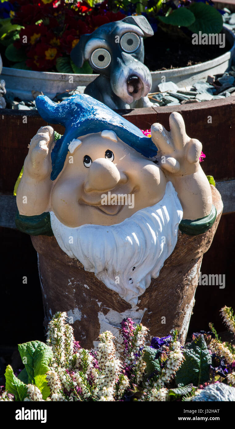 Un nain de jardin faisant le signe de la paix. Ou est-ce la victoire ? Banque D'Images
