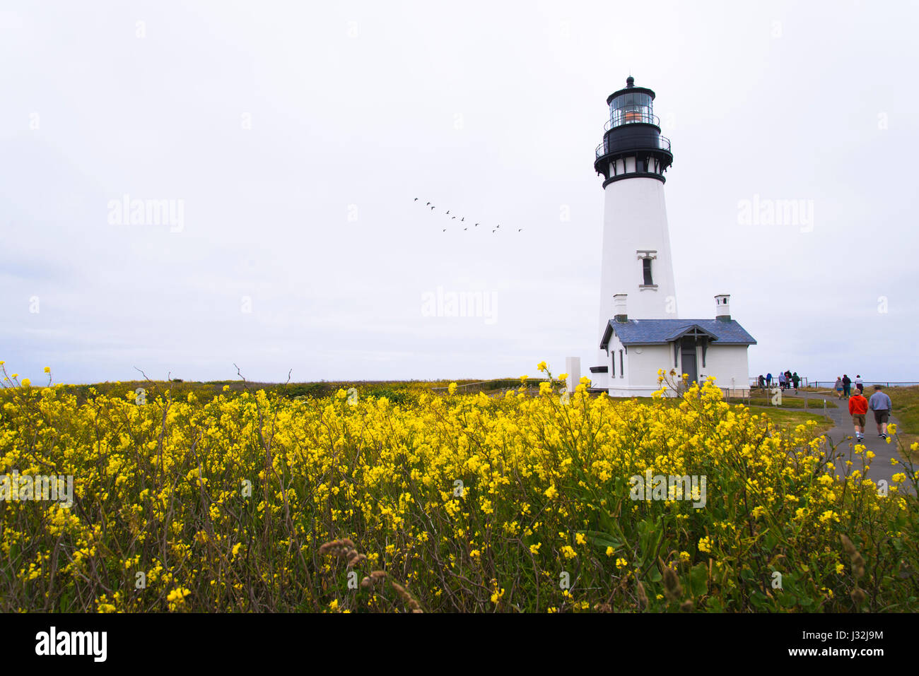 Le phare rond haut illumine la bonne façon pour les navires naviguant dans l'océan et d'empêcher l'épave comme un symbole de la bonne direction Banque D'Images