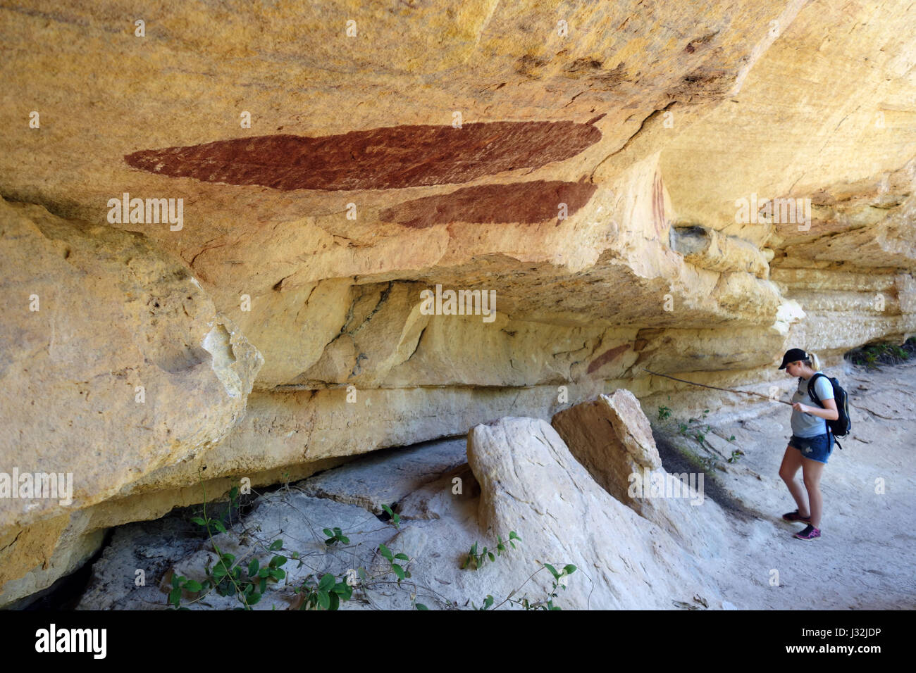 Woman looking at continuum rock art y compris l'anguille, Jawalbinna, Laura, le sud de la péninsule du Cap York, Queensland, Australie. Pas de monsieur Banque D'Images