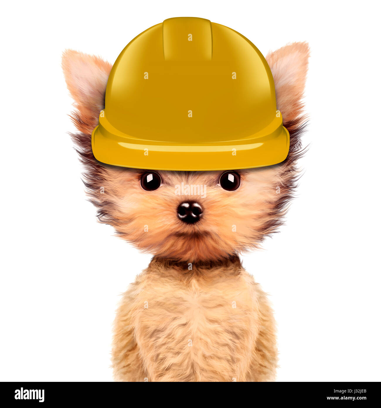 Funny dog in hard hat jaune isolé sur fond blanc. Les concepts de