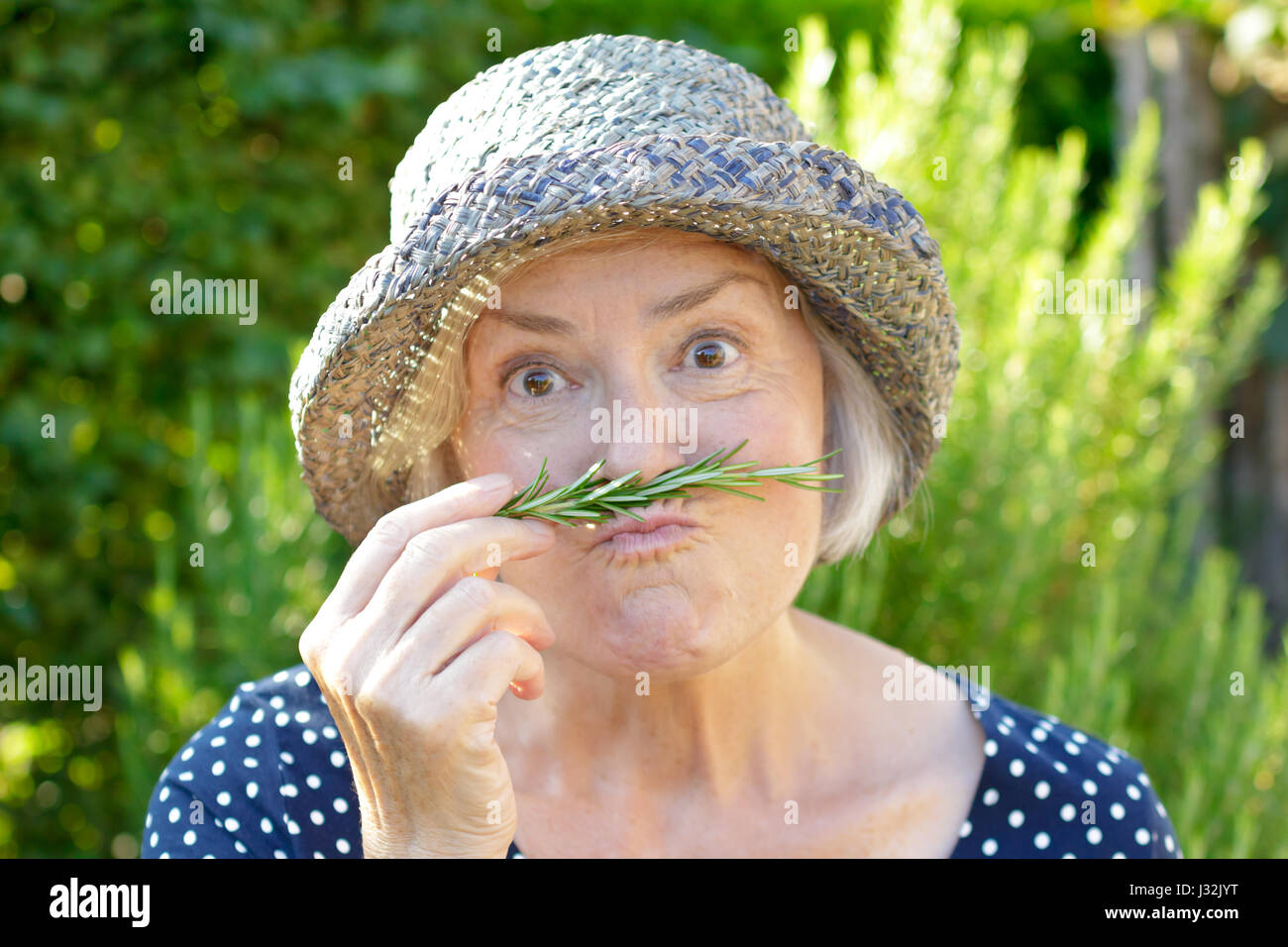 Femme plus âgée avec chapeau de paille sous le soleil d'après-midi d'été dans son jardin à l'aide d'une brindille de romarin comme une fausse moustache, joie de concept de jardinage Banque D'Images