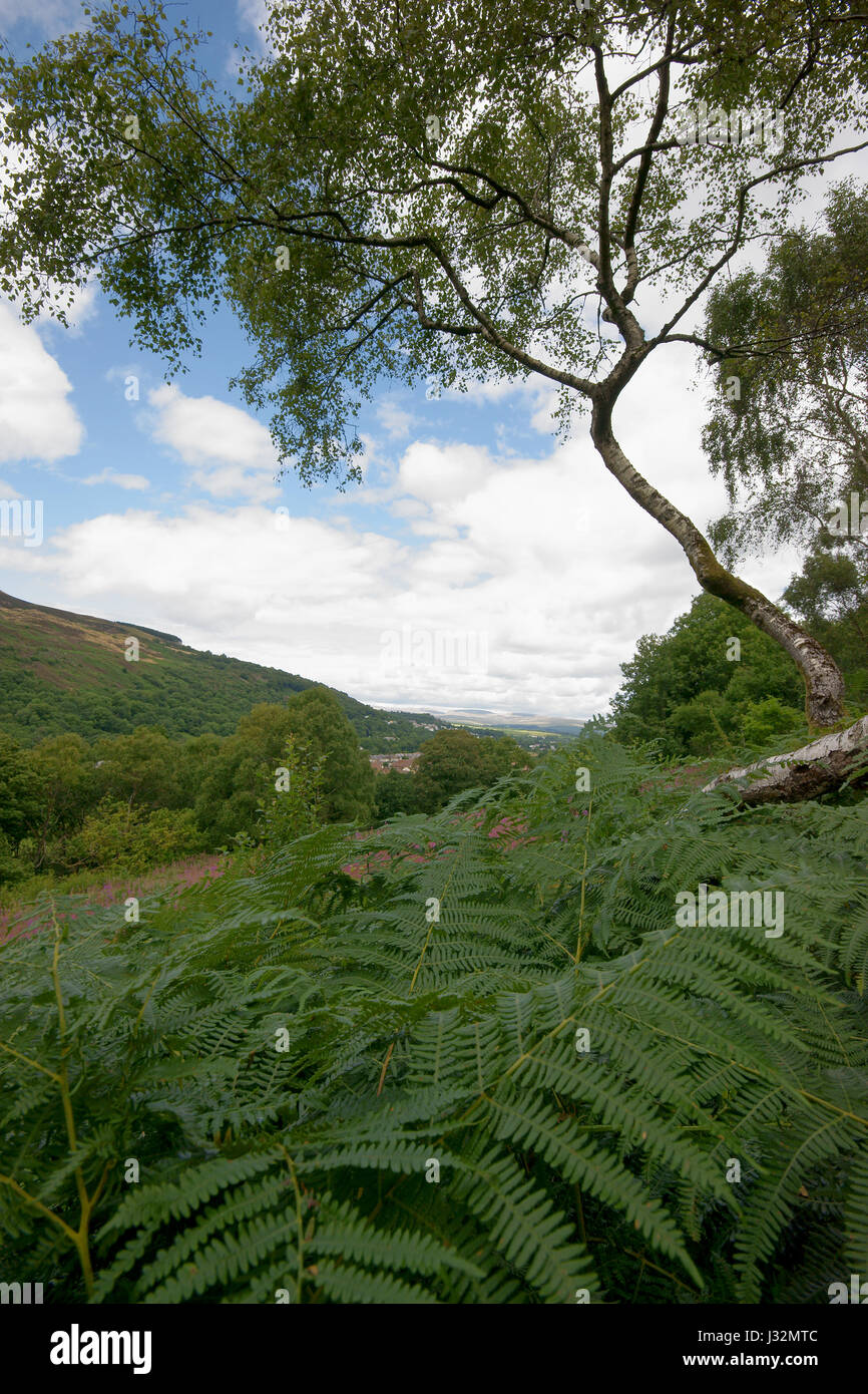 Vers Ystalyfera Banque D'Images