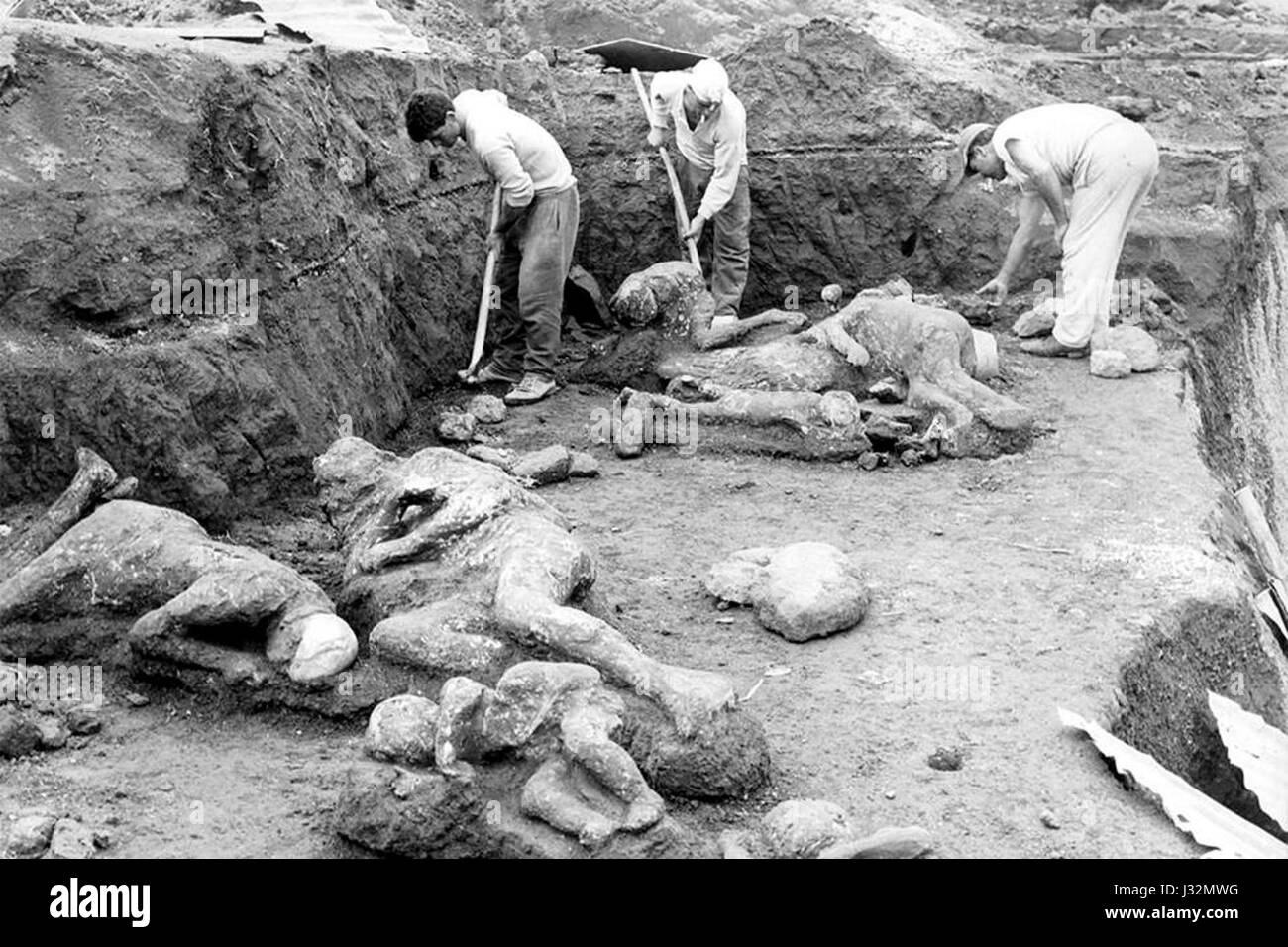 Pompei, scavo vittime Banque D'Images