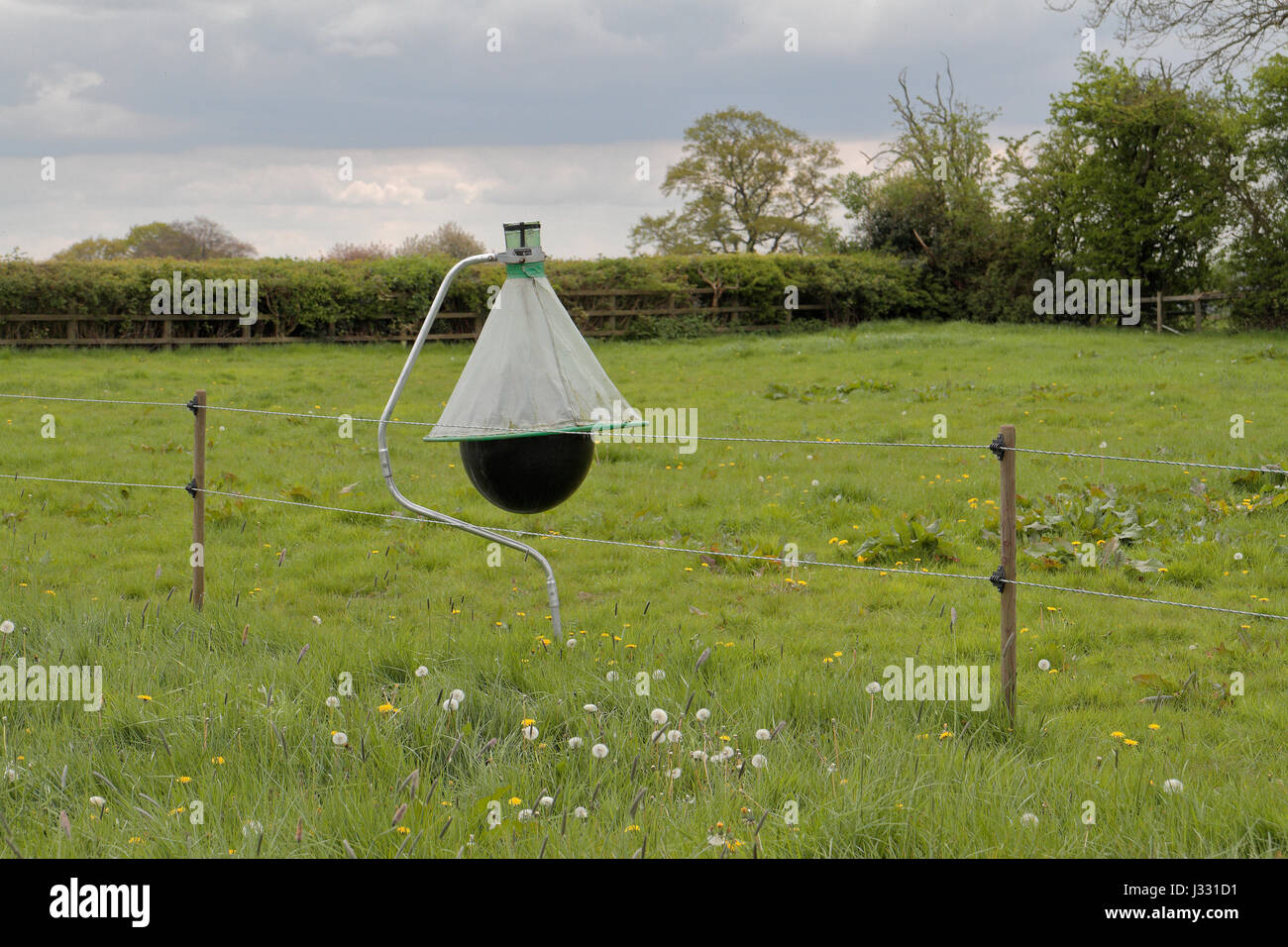 Un piège à mouches par Bite-Lite dans un champ près de Wendover, Buckinghamshire, Royaume-Uni. Banque D'Images