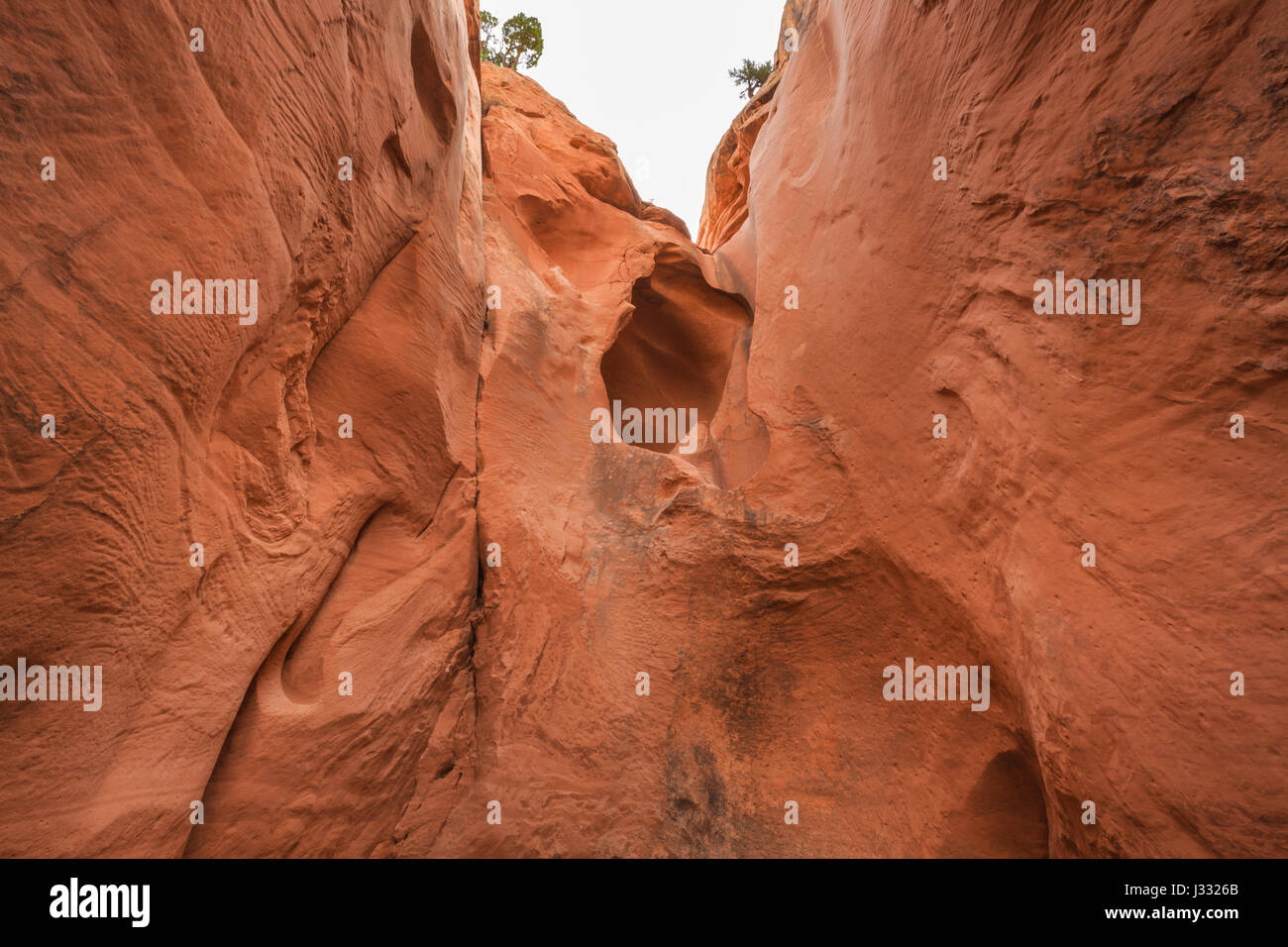 Big Horn canyon dans la harris lavabo près de Escalante, Utah Banque D'Images