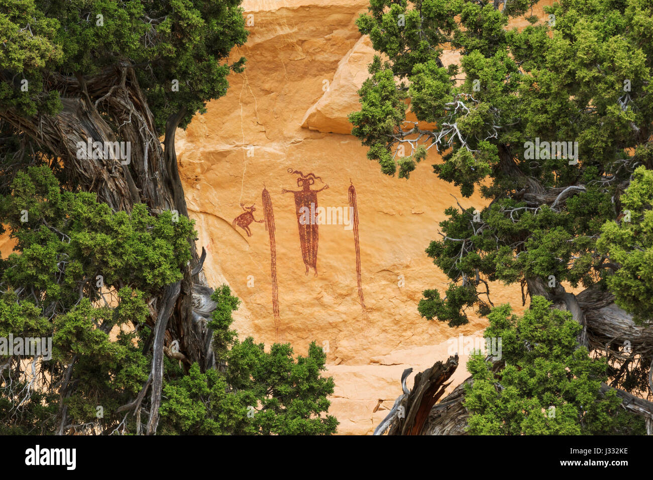 Chef de groupe dans le pictogramme sinbad emery comté près de Green River, dans l'Utah Banque D'Images