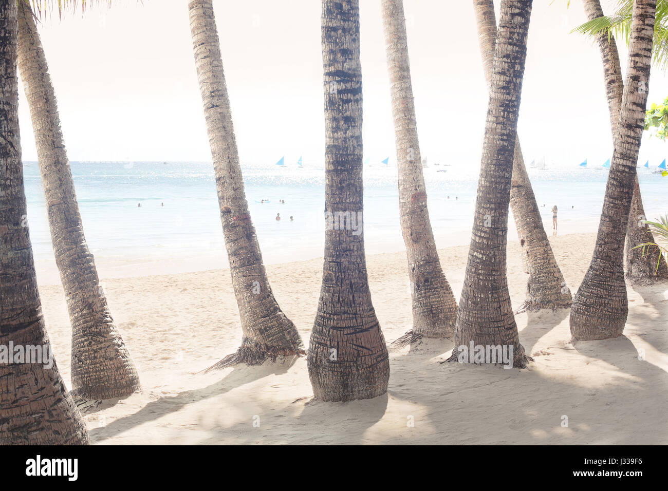 Plage de sable blanc avec des palmiers, Boracay, Philippines, Asie Banque D'Images