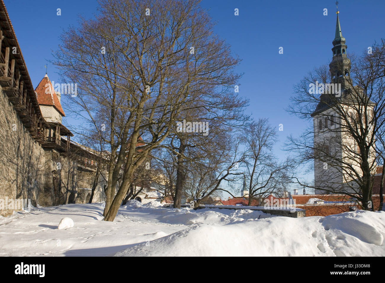 Taani Kuninga AED (le jardin du roi danois) sur les pentes de la colline de Toompea (cathédrale) avec la ville médiévale sur la gauche : Tallinn, Estonie Banque D'Images