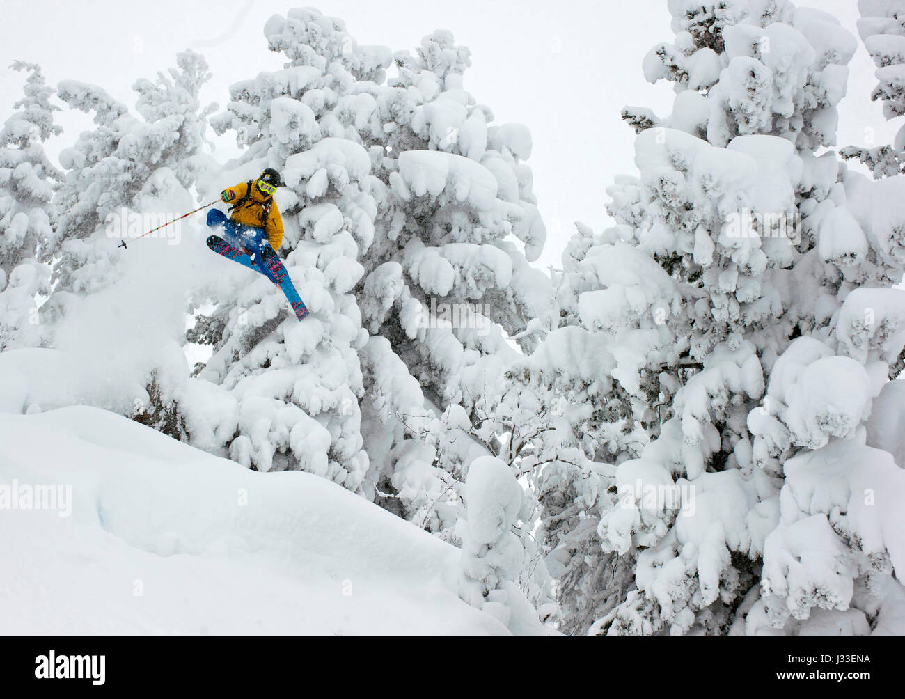 Sautant les Skifahrer neigé profondément dans la forêt, Kaltenbach, Zillertal, Autriche Banque D'Images