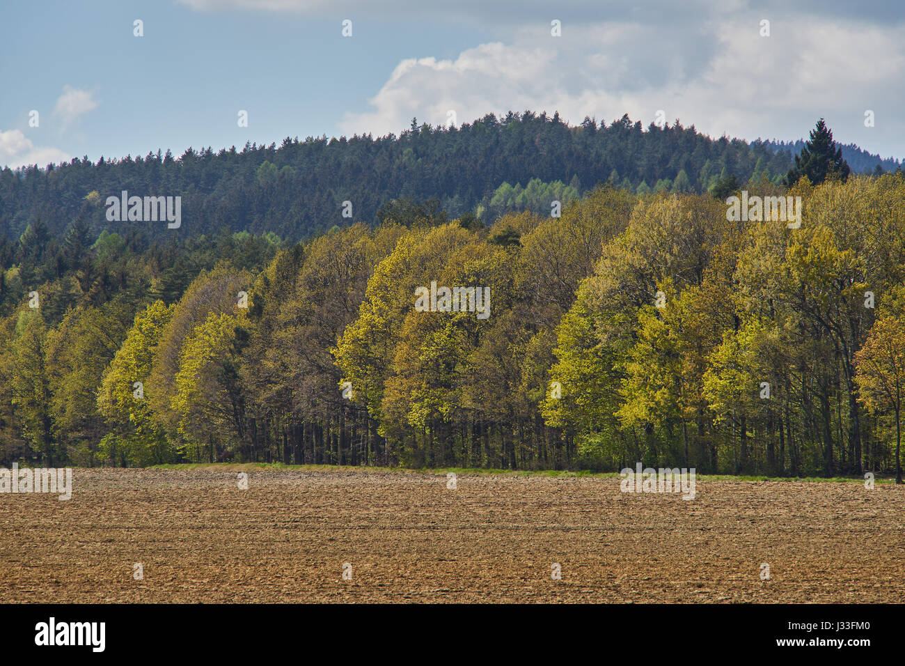 La lisière de la forêt et des champs de la Basse Silésie printemps paysage rural Banque D'Images