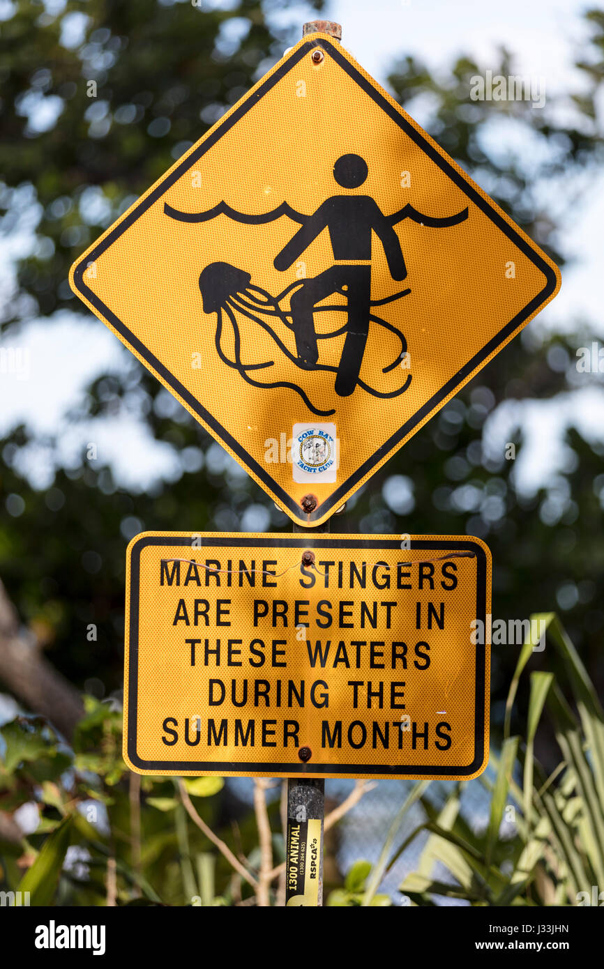 Panneau d'avertissement sur la plage, des méduses dans l'eau, le parc national de Daintree, Queensland, Australie Banque D'Images