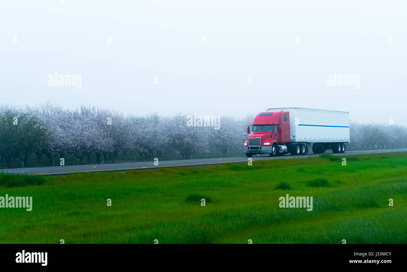 Semi-camion rouge élégant avec une remorque transportant des charges longues sur une route droite plate le long des jardins fleuris de printemps avec des arbres fruitiers Banque D'Images