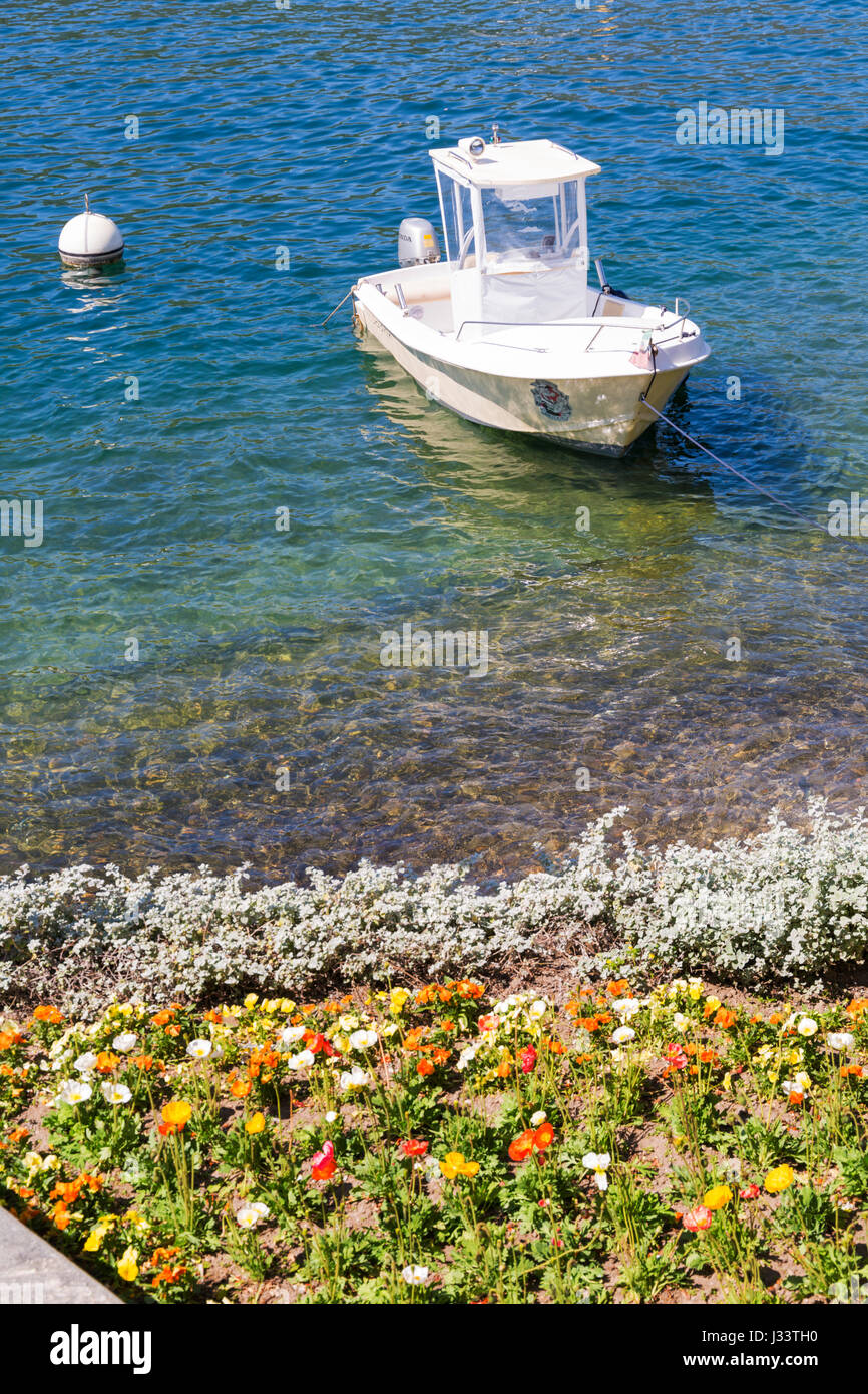 Dolphin bateau amarré dans l'eau cristalline à Isola Bella, Lac Majeur, Italie en avril Banque D'Images