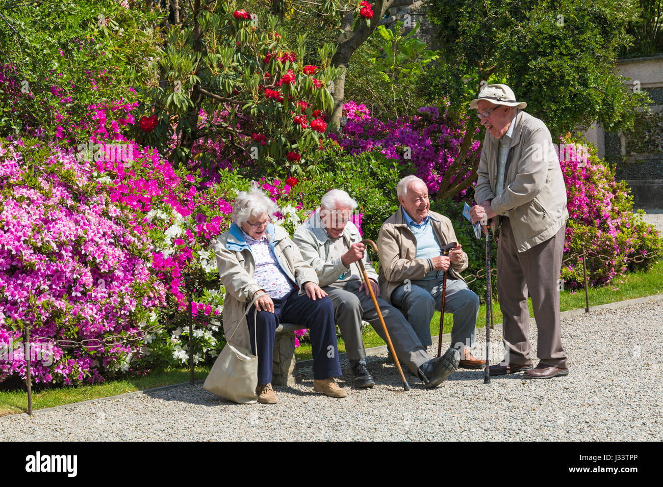 Groupe de personnes âgées visiteurs assis de détente à Isola Bella jardins de Isola Bella, Lac Majeur, Italie en avril Banque D'Images