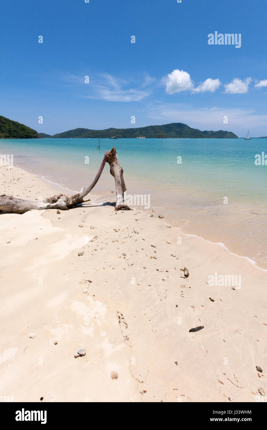 Driftwood sur sable blanc tro[pical beach à Cape Panwa, Phuket, Thailand Banque D'Images