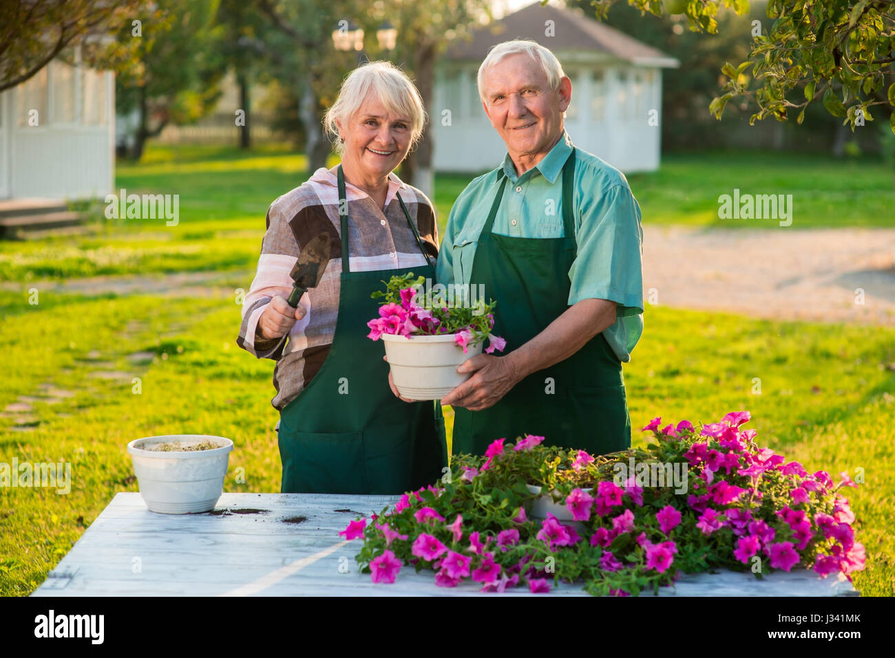 Couple de personnes âgées et pot de fleurs. Banque D'Images