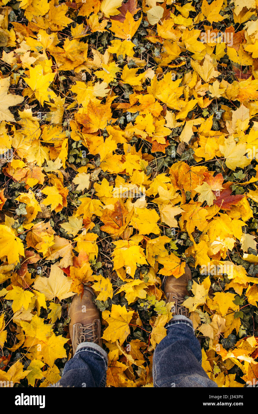 Marche pieds mâles dans des chargements de feuilles jaunes en automne portant des bottes marron et un jean bleu Banque D'Images