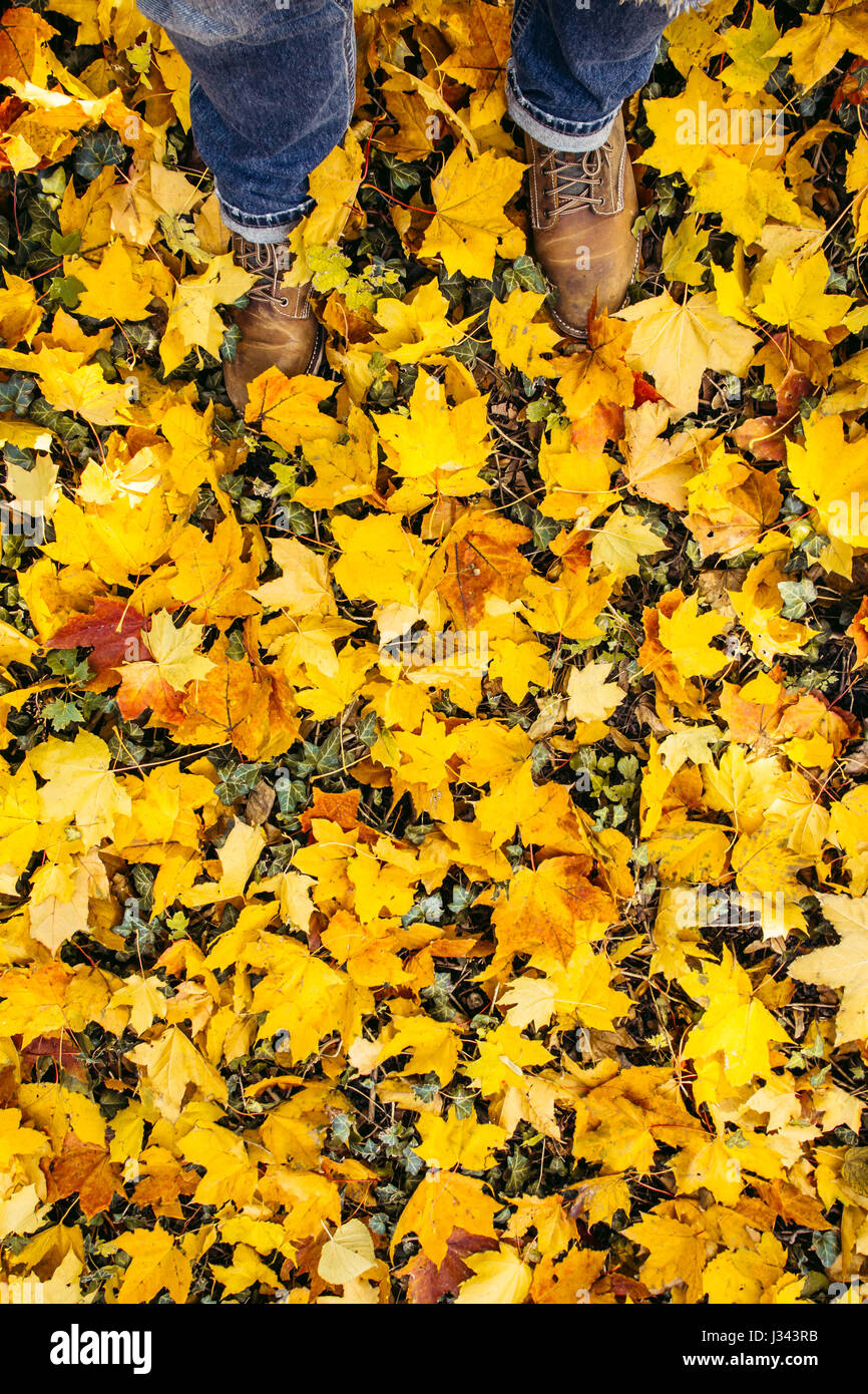 Marche pieds mâles dans des chargements de feuilles jaunes en automne portant des bottes marron et un jean bleu Banque D'Images