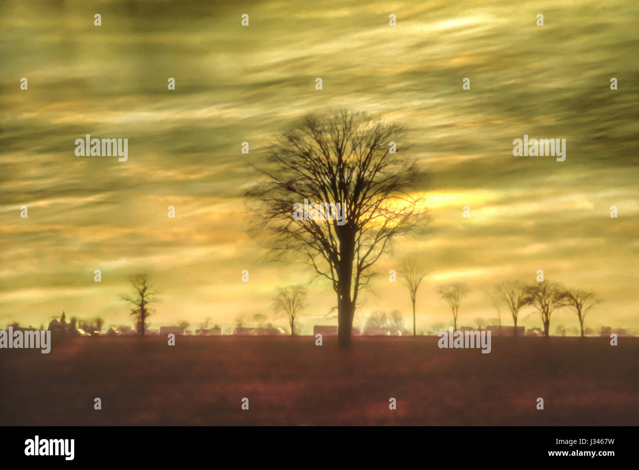 Contexte artistique avec grand arbre et ciel étrange Banque D'Images
