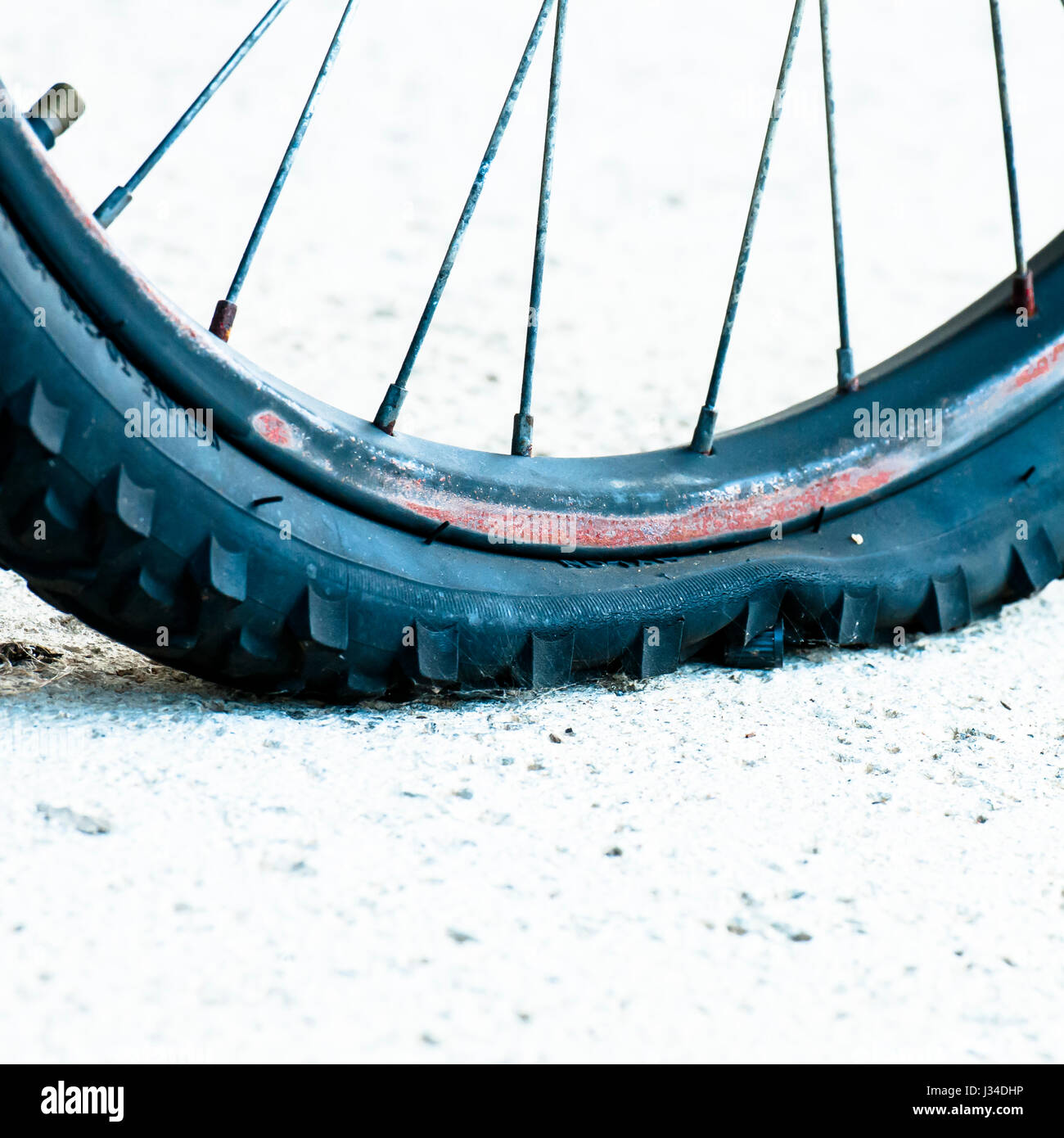 Pneu de vélo tout terrain perforé ou crevé, avec mousse visible s'échappant  par les trous perforés. Système sans chambre à air sur un mur de pneus de  vélo d'étanchéité Photo Stock 