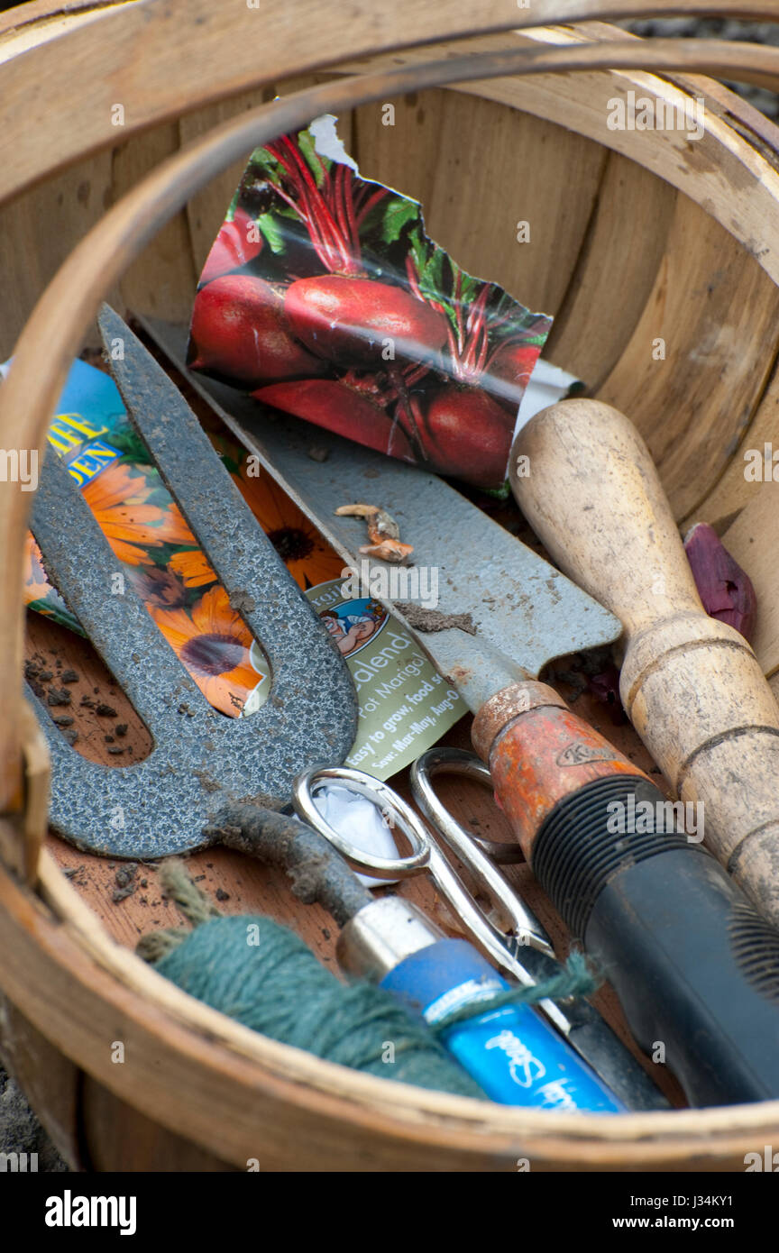 Outils de jardin dans un panier, Lancashire. Banque D'Images