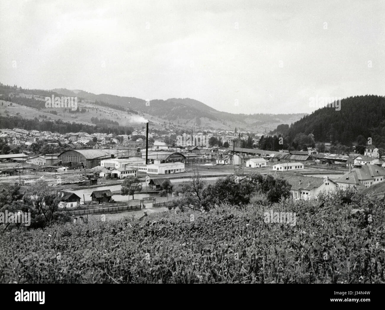 Avis de Suceava, Roumanie Banque D'Images