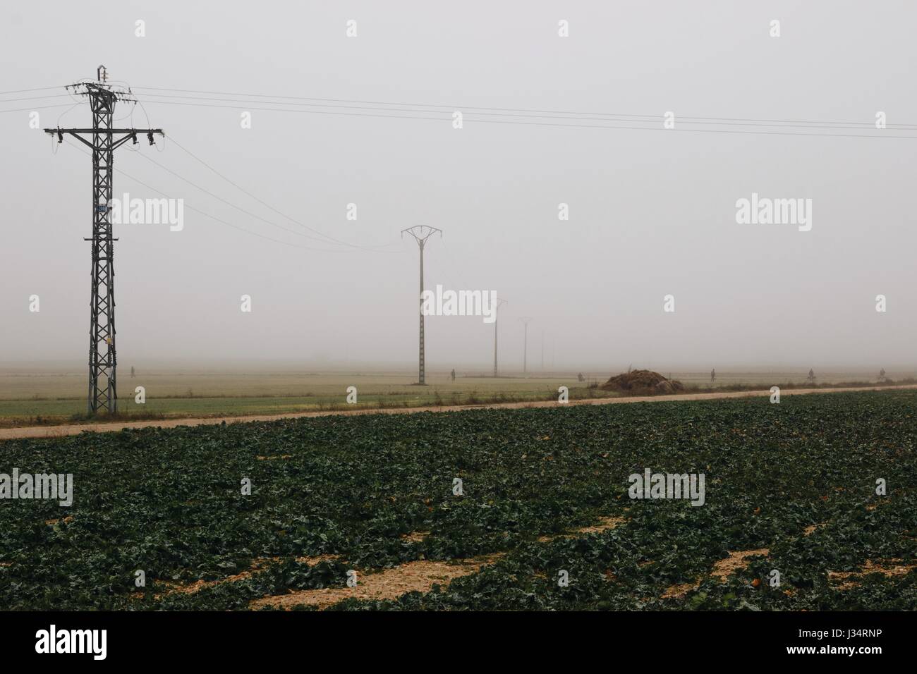 Les chasseurs avec des chiens près de lignes électriques dans un jour brumeux dans la campagne de Castilla y León, Espagne Banque D'Images