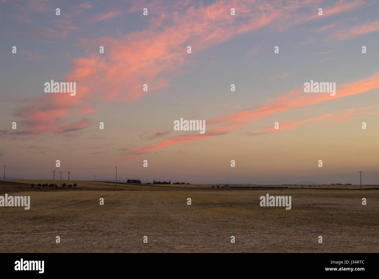 Paysage de campagne, avec le coucher du soleil nuages sur le maïs dans la région de Castilla y León, Espagne Banque D'Images