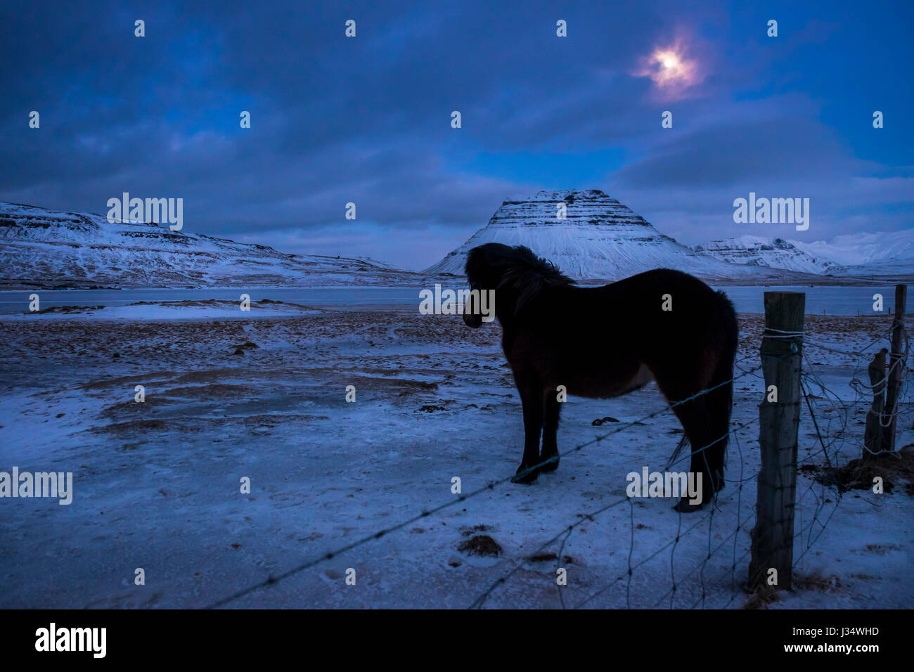GRUNDARFJOROUR, ISLANDE - CIRCA MARS 2015 : la nuit près de Grundarfjordur en Islande contre Kirkjufell mountain, un jalon dans le SCN Banque D'Images
