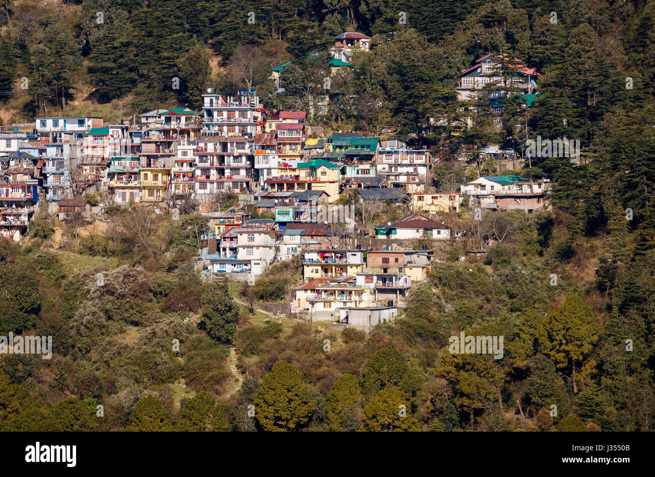 Flanc de typiques maisons et immeubles sur fortes pentes boisées colline de l'Himalaya, McLeodGanj, Dharamshala, Himachal Pradesh, Inde du nord Banque D'Images