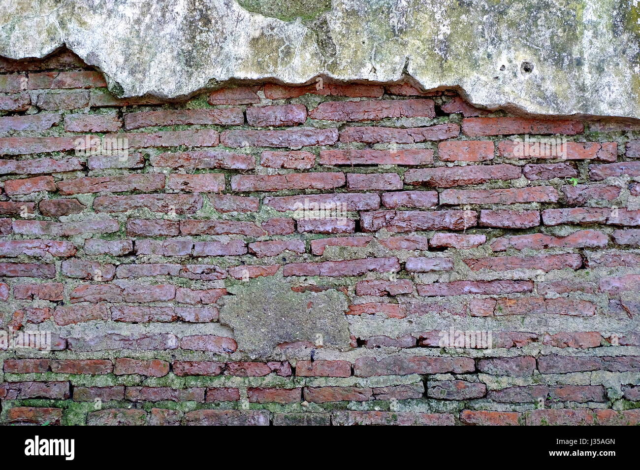 Vieux Mur de ciment Texture Background. Banque D'Images