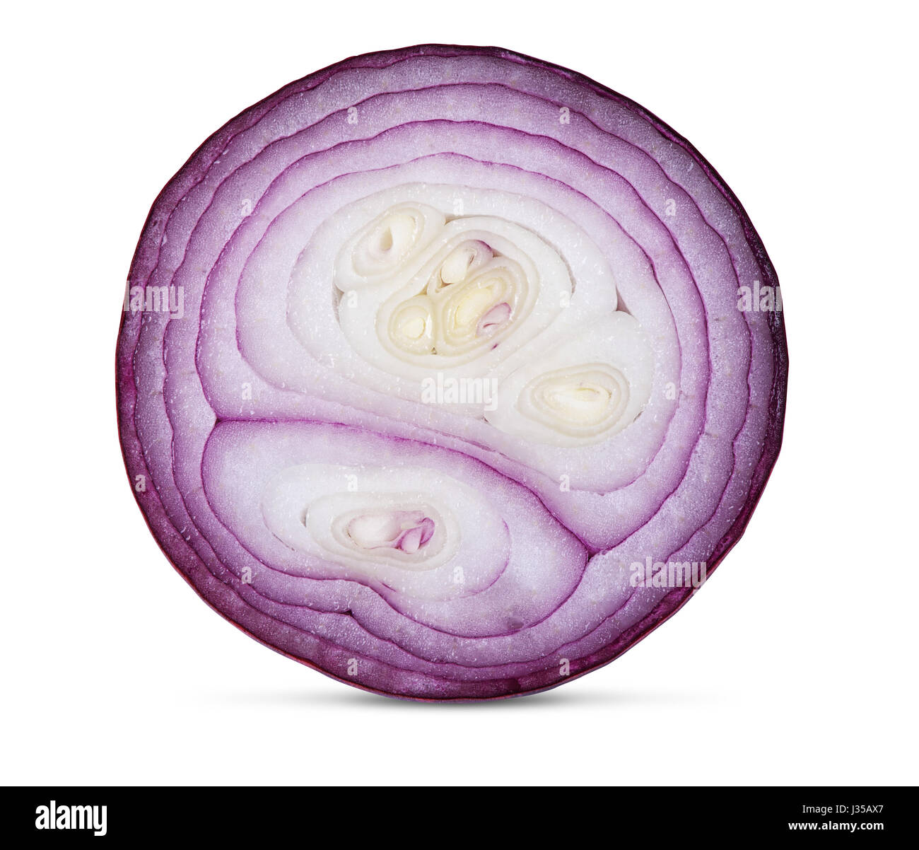 Tranche d'oignon rose close up. Isolé sur fond blanc Banque D'Images
