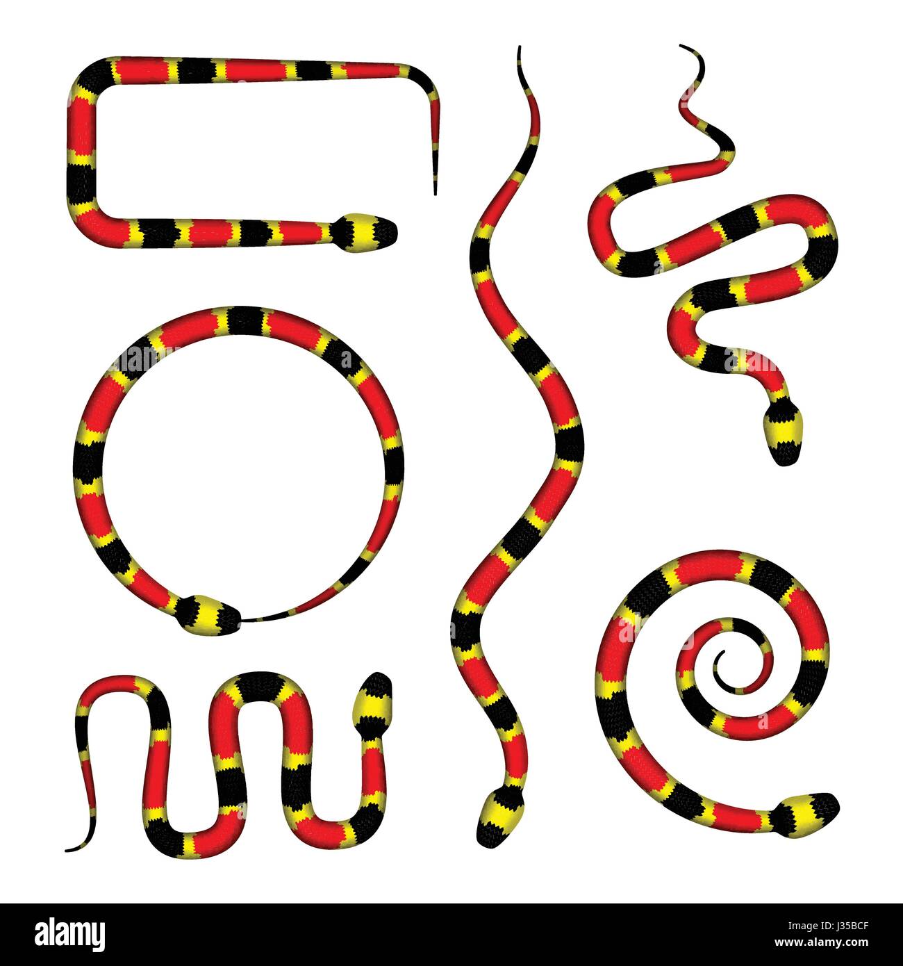 Vector Illustration 3d de Coral Snake ou Micrurus isolé sur fond blanc. Avec Serpent rouge, noir et jaune Illustration de Vecteur