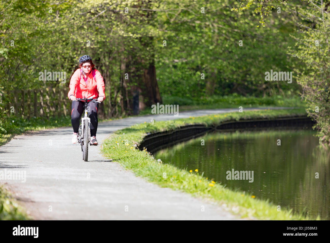 Un cycliste sur une journée ensoleillée à vélo le long du pittoresque Canal Llangollen toe chemin dans le Nord du Pays de Galles Banque D'Images