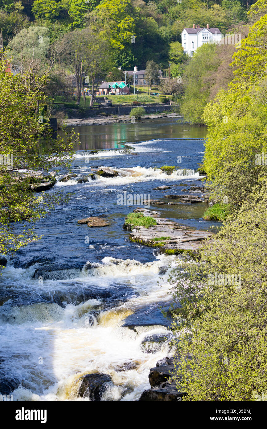 La rivière Dee en passant par une région d'une beauté naturelle à Llangollen dans le Nord du Pays de Galles dans la hauteur de l'été Banque D'Images