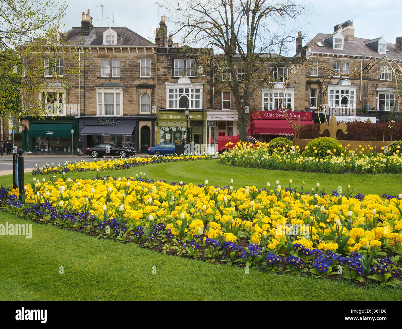 La magnifique plantation de primevères, tulipes et sur le rond-point de la Couronne dans le district de Montpellier Harrogate, Yorkshire, UK, à l'extérieur de l'Hôtel de la Couronne Banque D'Images