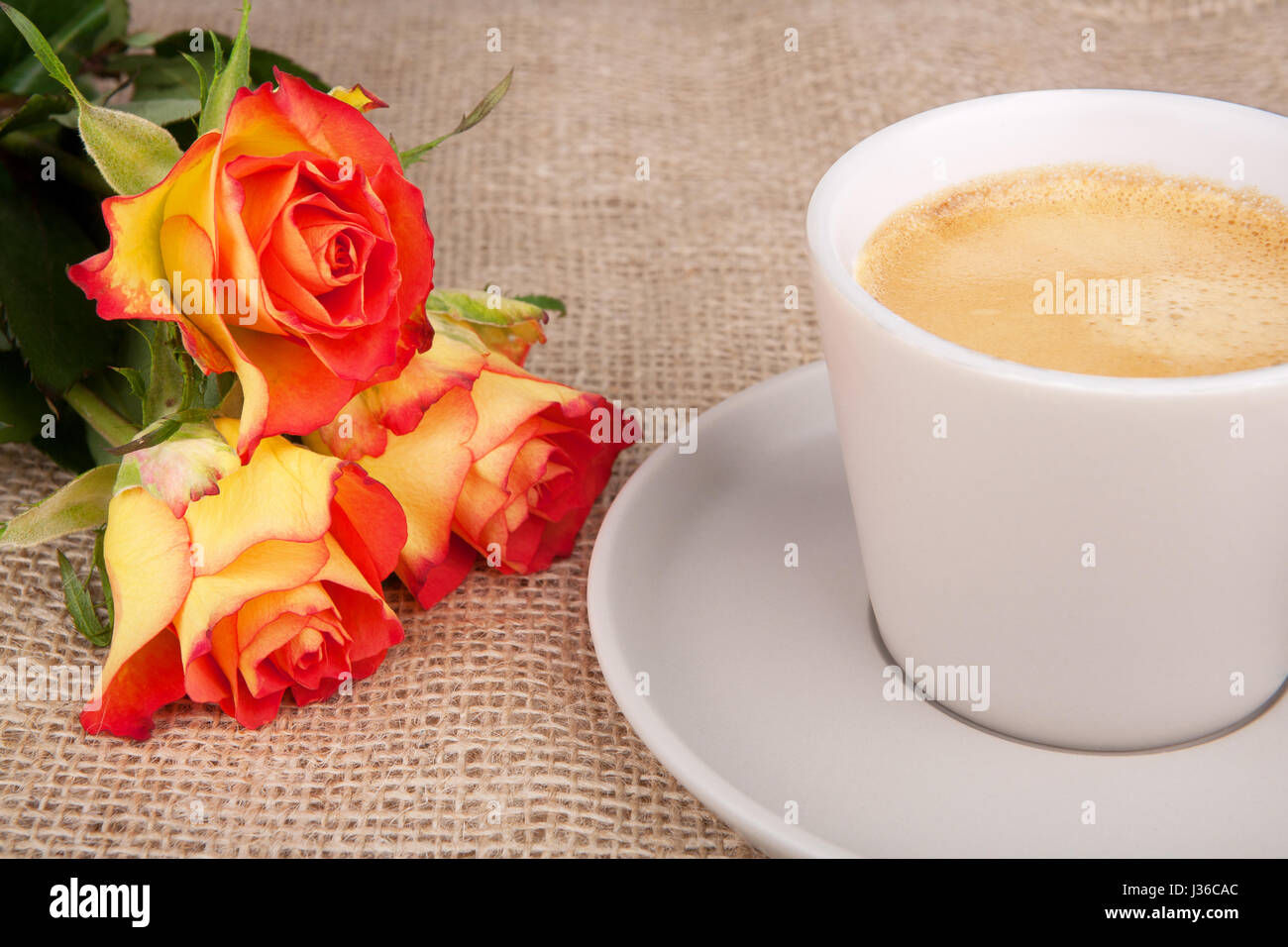 Tasse de café et d'arbres roses jaune-rouge Banque D'Images