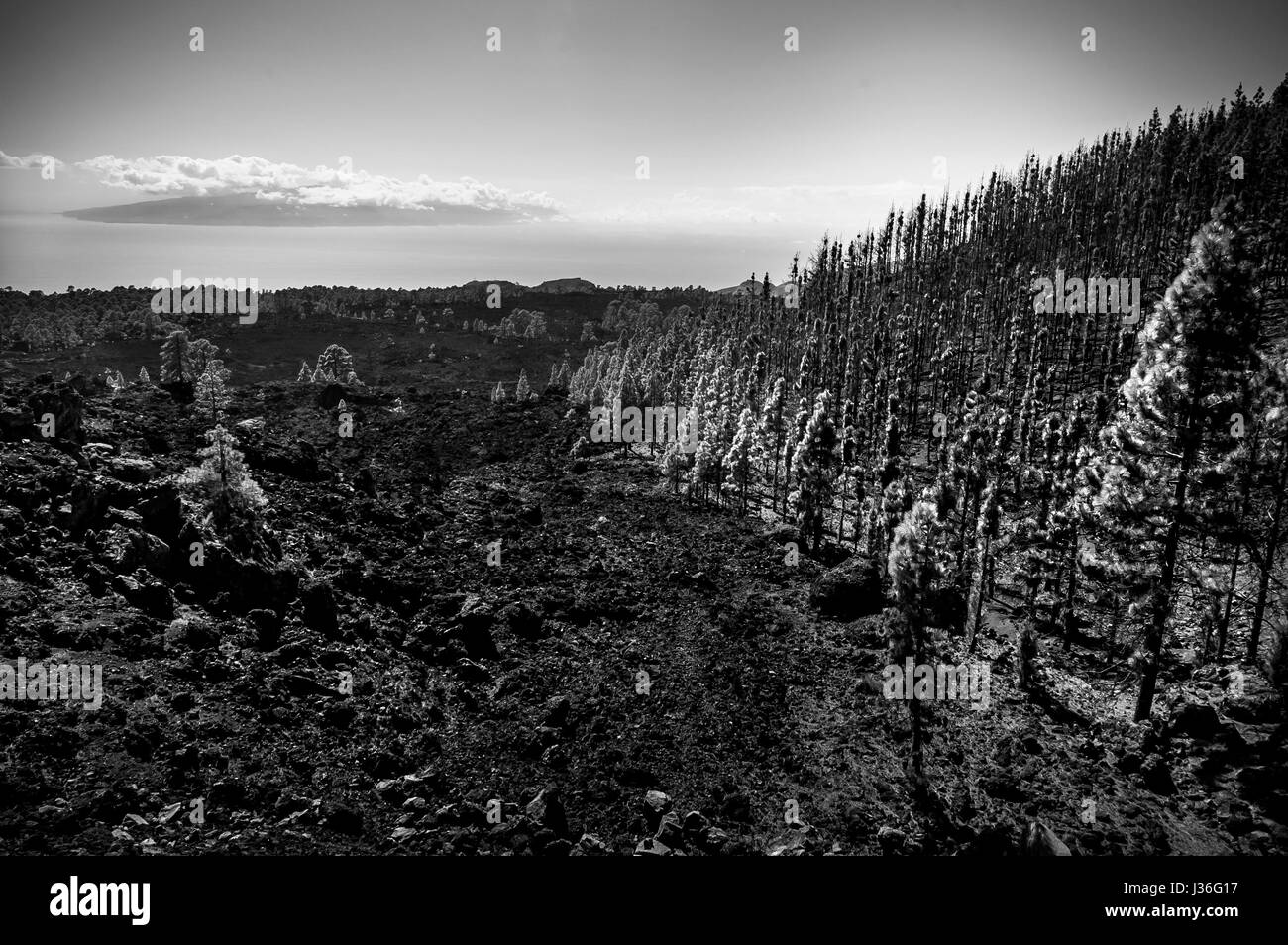 Tenerife, Îles Canaries Banque D'Images